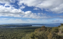 View of the bay from Rangitoto