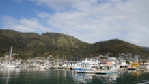 Boats in the harbour at Picton