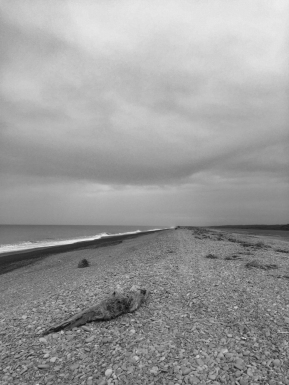 Moody grey beach at Southbridge