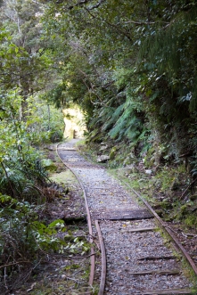 Walking in the tracks at Ngakawau